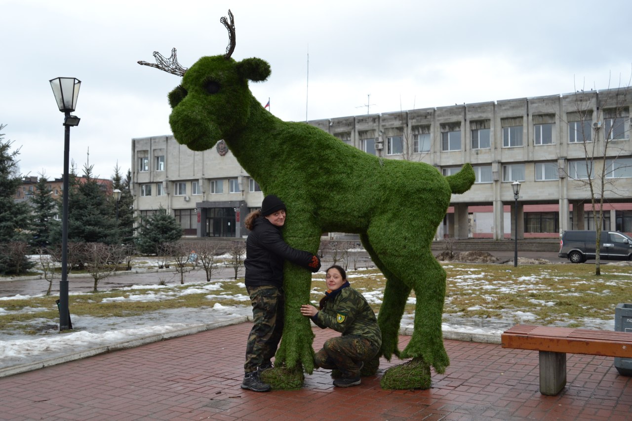 Работа Центра в феврале 2016 г.